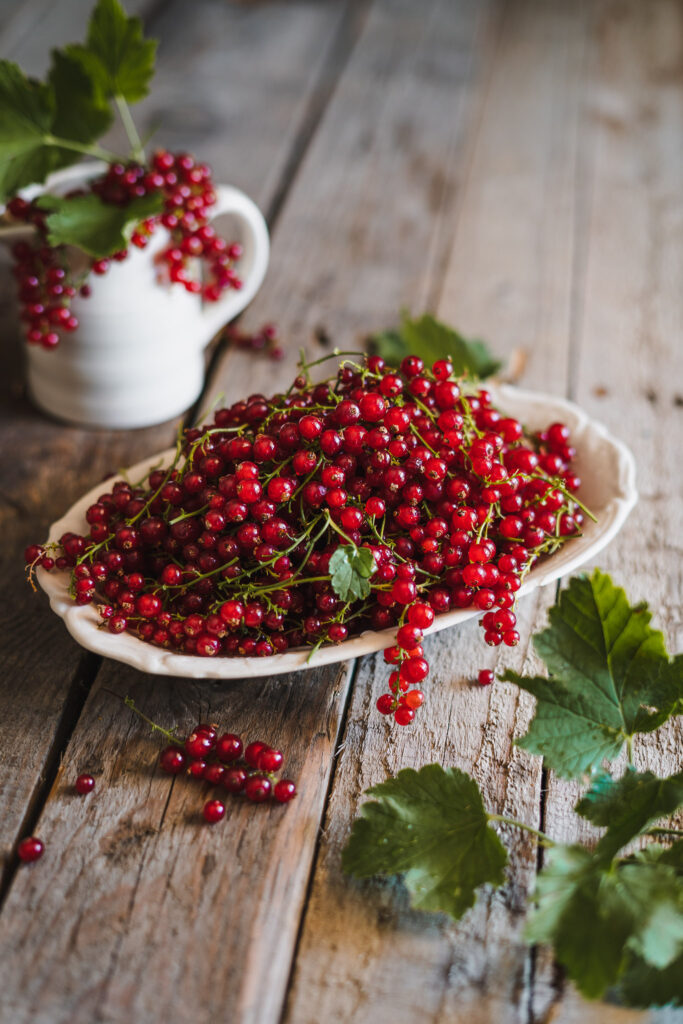 Świeża czerwona porzeczka na talerzu